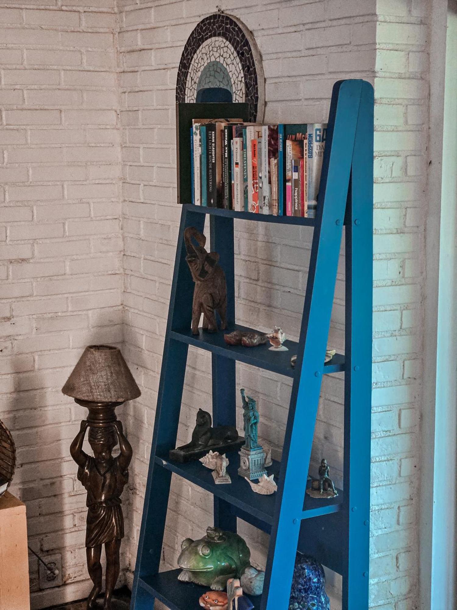 Отель Bella Vista Ocean View Armacao dos Buzios Экстерьер фото A blue ladder shelf